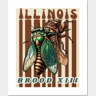 Cicadas "Illinois" Posters and Art